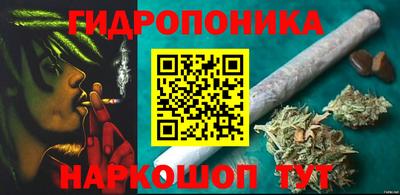 шишки Севастополь